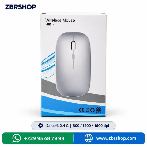 Souris sans fil silencieuse (2.4G, DPI ajustable, Nano récepteur)